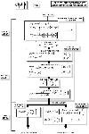 asr-seneff-Figure03s.jpg (5277 bytes)